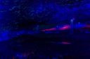 DSC09825~1.jpg