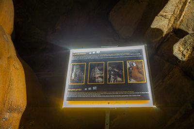 Schlüsselwörter: Grottes de Remouchamps