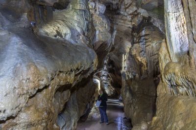 Schlüsselwörter: Grottes de Remouchamps