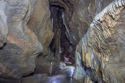 Schlüsselwörter: Grottes de Remouchamps