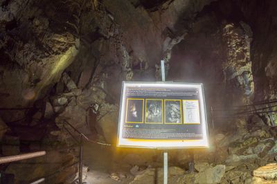 Schlüsselwörter: Grottes de Remouchamps