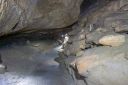 DSC05332.jpg