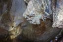 DSC05358.jpg