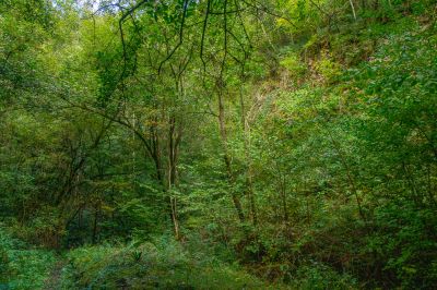Schlüsselwörter: Anciennes carrières de Gesves
