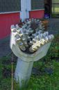 DSC08177.jpg
