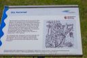DSC08202.jpg