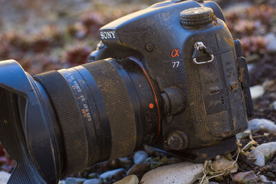 Sony A77 mit leichten Kampfspuren
Sony A77 mit leichten Kampfspuren
