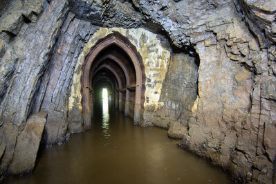 Schlüsselwörter: Harz