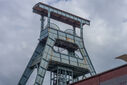 DSC03455.jpg