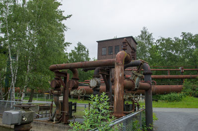 DSC01807.jpg