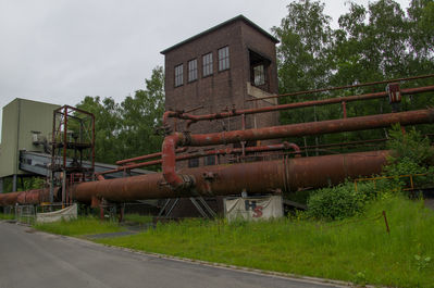 DSC01812.jpg