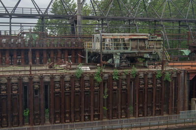 DSC01965.jpg
