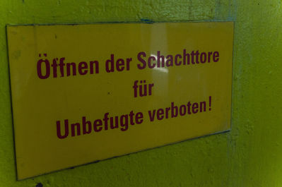 DSC03533.jpg