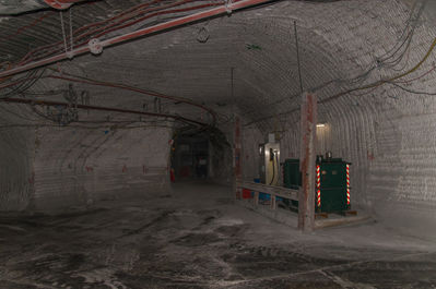 DSC03601.jpg
