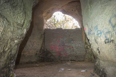 DSC05883.jpg