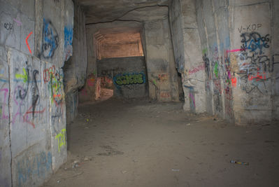 DSC05888.jpg