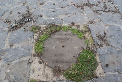 DSC06966.jpg