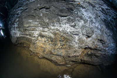 DSC08254.jpg