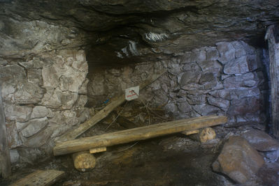 DSC08712.jpg