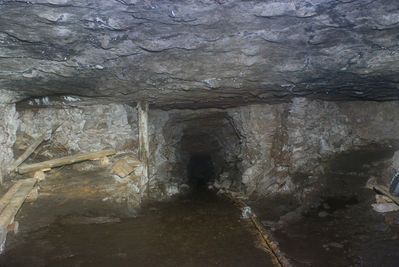 DSC08713.jpg