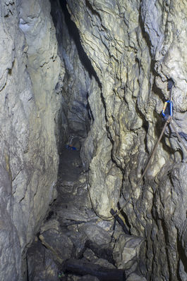 BÃ¤renhÃ¶hle am Ith bei Holzen
AuÃŸerhalb der Schutzzeiten ist die BÃ¤renhÃ¶hle am Ith bei Holzen frei zu befahren. Im Winter wird der Zugang verschlossen. Mit einem 26m Seil langt man gut hin. Insgesamt habe ich diese HÃ¶hle 2x befahren. SchÃ¶ner enger Abstieg. man landet zuerst nach ungefÃ¤hr 8m auf einem Zwischenbereich und kann dann nochmal ~ 8m weiter runter wo der gerÃ¤umige Teil der HÃ¶hle ist. 
Schlüsselwörter: Ith;BÃ¤renhÃ¶hle;Befahrung;Holzen