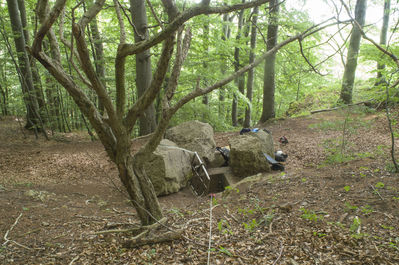 BÃ¤renhÃ¶hle am Ith bei Holzen
AuÃŸerhalb der Schutzzeiten ist die BÃ¤renhÃ¶hle am Ith bei Holzen frei zu befahren. Im Winter wird der Zugang verschlossen. Mit einem 26m Seil langt man gut hin. Insgesamt habe ich diese HÃ¶hle 2x befahren. SchÃ¶ner enger Abstieg. man landet zuerst nach ungefÃ¤hr 8m auf einem Zwischenbereich und kann dann nochmal ~ 8m weiter runter wo der gerÃ¤umige Teil der HÃ¶hle ist. 
Schlüsselwörter: Ith;BÃ¤renhÃ¶hle;Befahrung;Holzen