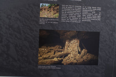 PICT0499.jpg