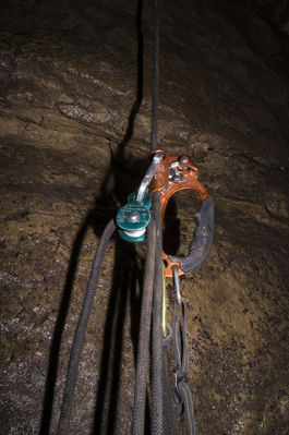 BÃ¤renhÃ¶hle am Ith bei Holzen
AuÃŸerhalb der Schutzzeiten ist die BÃ¤renhÃ¶hle am Ith bei Holzen frei zu befahren. Im Winter wird der Zugang verschlossen. Mit einem 26m Seil langt man gut hin. Insgesamt habe ich diese HÃ¶hle 2x befahren. SchÃ¶ner enger Abstieg. man landet zuerst nach ungefÃ¤hr 8m auf einem Zwischenbereich und kann dann nochmal ~ 8m weiter runter wo der gerÃ¤umige Teil der HÃ¶hle ist. 
Schlüsselwörter: Ith;BÃ¤renhÃ¶hle;Befahrung;Holzen;Petzl;Stop;Aufseilen;Seilzugang