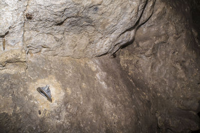 BÃ¤renhÃ¶hle am Ith bei Holzen
AuÃŸerhalb der Schutzzeiten ist die BÃ¤renhÃ¶hle am Ith bei Holzen frei zu befahren. Im Winter wird der Zugang verschlossen. Mit einem 26m Seil langt man gut hin. Insgesamt habe ich diese HÃ¶hle 2x befahren. SchÃ¶ner enger Abstieg. man landet zuerst nach ungefÃ¤hr 8m auf einem Zwischenbereich und kann dann nochmal ~ 8m weiter runter wo der gerÃ¤umige Teil der HÃ¶hle ist. 
Schlüsselwörter: Ith;BÃ¤renhÃ¶hle;Befahrung;Holzen