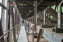 DSC01954.jpg