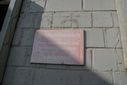 DSC05027.jpg