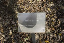Dateiname=DSC05647.jpg
Dateigröße=814KB
Abmessungen: 2647x1772
hinzugefügt am: 03. Dezember 2017 DSC05647.jpg