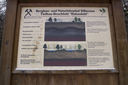Dateiname=PICT0013.jpg
Dateigröße=714KB
Abmessungen: 2647x1760
hinzugefügt am: 05. Februar 2017 PICT0013.jpg