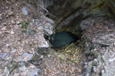 Dateiname=PICT0107.jpg
Dateigröße=1605KB
Abmessungen: 1800x1197
hinzugefügt am: 12. April 2017 PICT0107.jpg